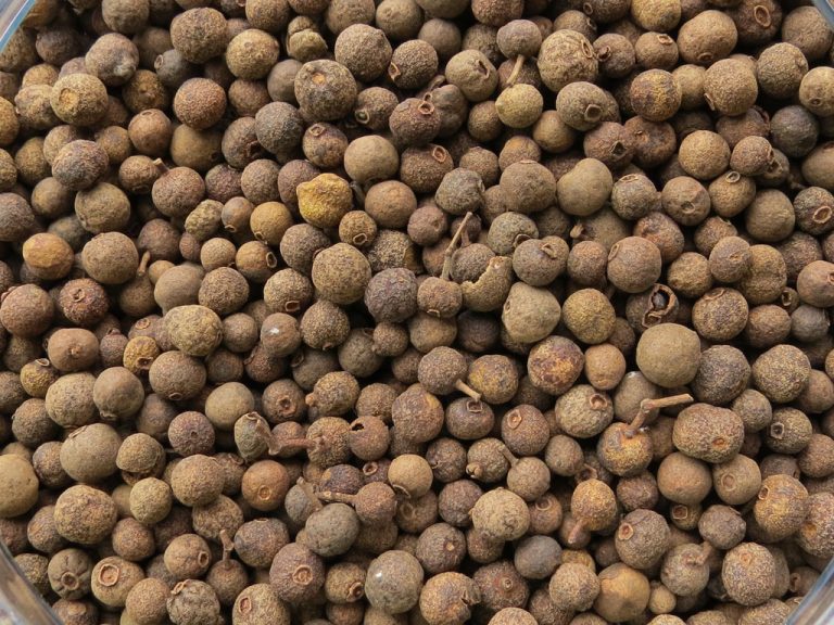 ALLSPICE BERRIES Troyer's Spices
