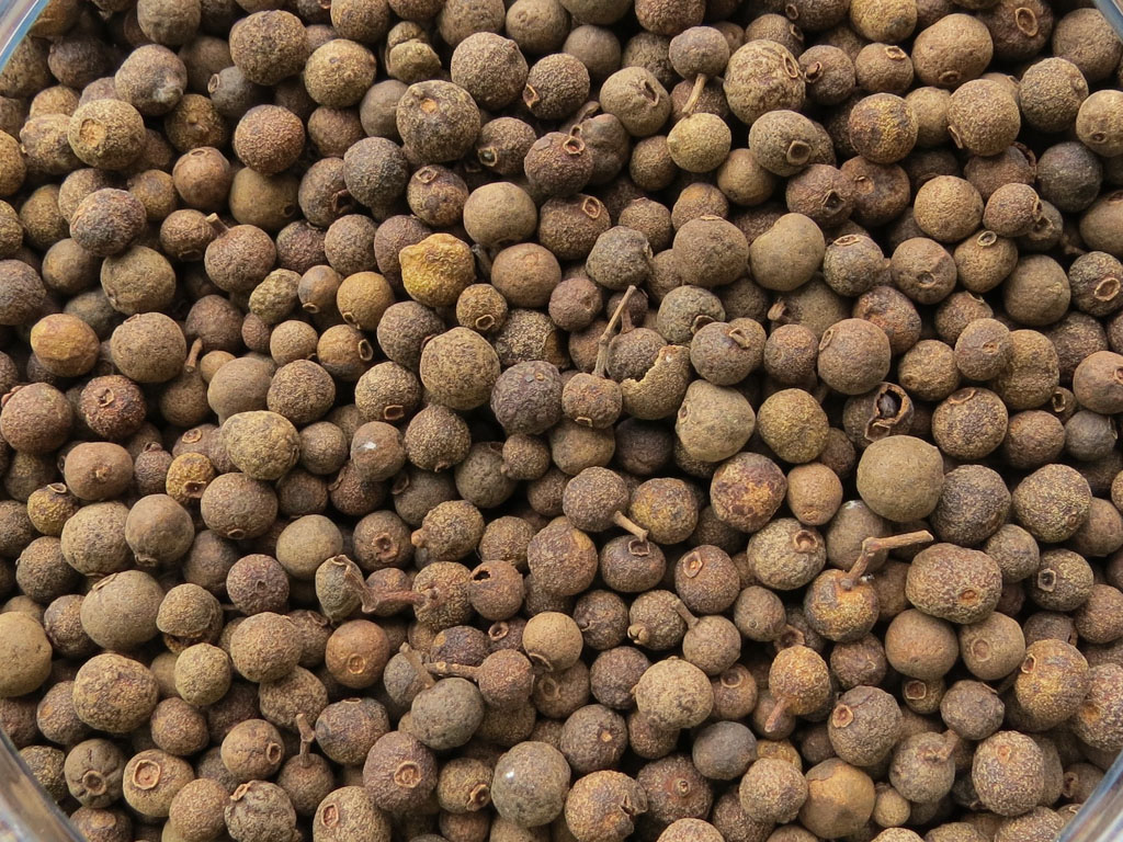 Whole Allspice Berries Troyer s Spices