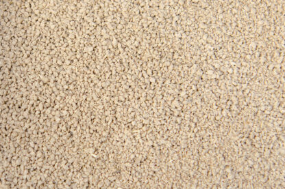 Amchoor Powder
