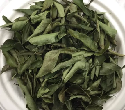 Buy Curry Leaves