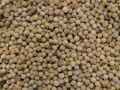 White Peppercorns
